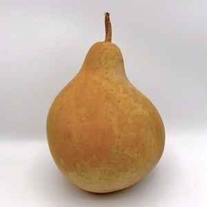 Clean Dried Natural Gourd 
ARTS & CRAFTS Project Ready ~ 
Birdhouse Style